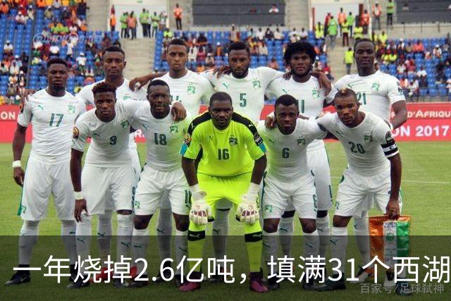 一年烧掉2.6亿吨，填满31个西湖！中国的垃圾，不够烧了？