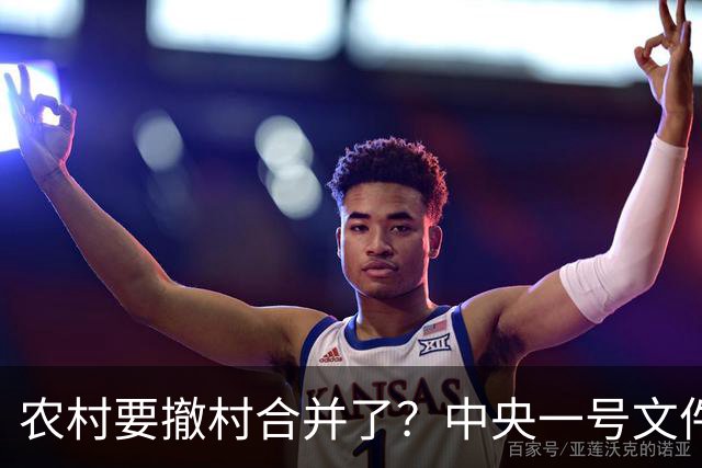 农村要撤村合并了？中央一号文件明确规定，农民必须有发言权