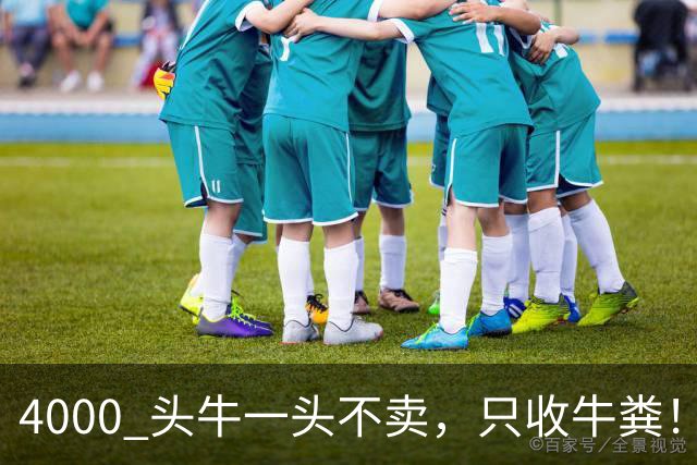 4000 头牛一头不卖，只收牛粪！广西汉靠 “屎” 逆袭，狂赚上亿身家